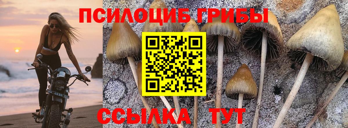 Реж  Галлюциногенные грибы Magic Shrooms  Вход с VPN  продажа наркотиков  Галлюциногенные грибы Psilocybe 