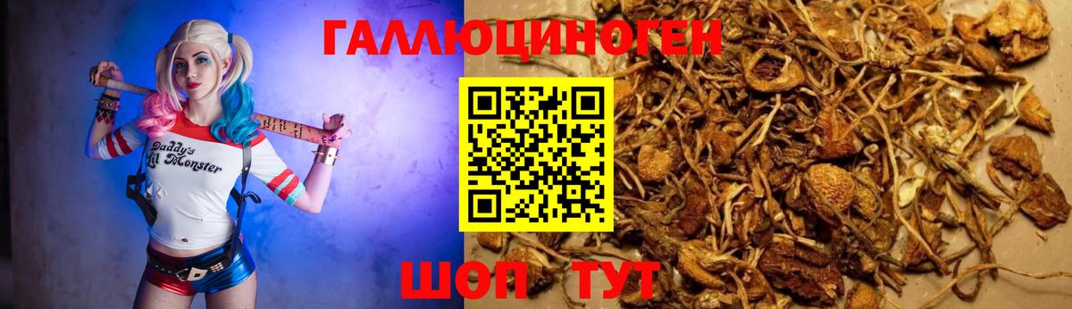 Галлюциногенные грибы мицелий Реж